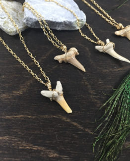 Shark Tooth Necklaces.jpg